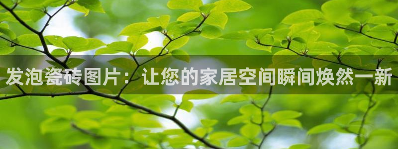杏鑫娱乐负责人