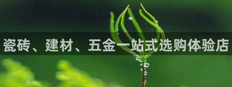 杏鑫官方app代理