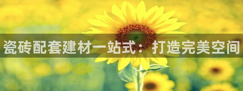 杏鑫娱乐是真的吗