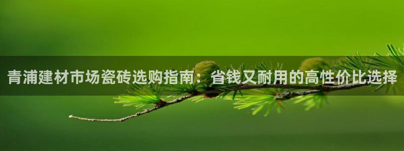 杏鑫平台测速