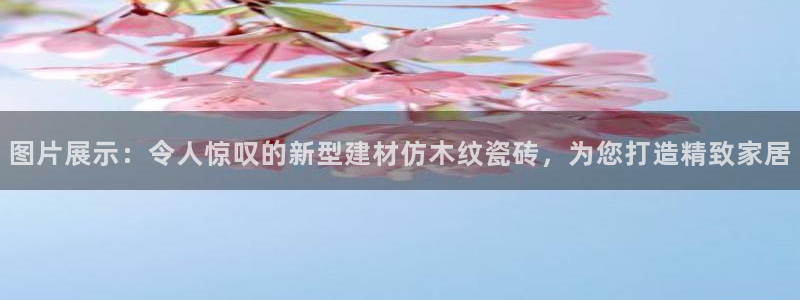杏鑫娱乐负责人