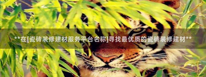 杏鑫娱乐怎么下