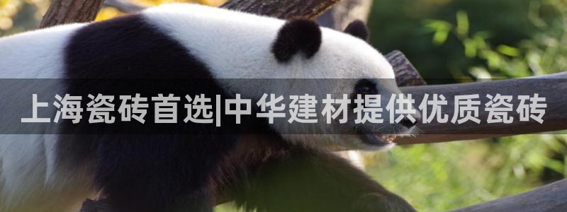杏鑫娱乐官方网站客户端