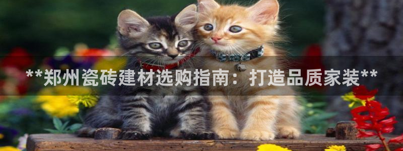 杏鑫娱乐测速