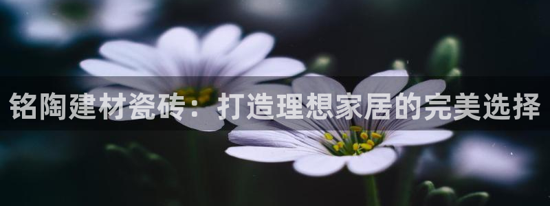 杏鑫平台野马联盟