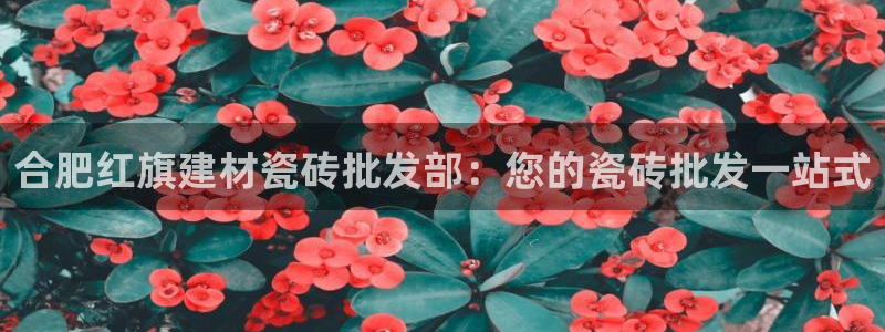 杏鑫平台注册网址是多少