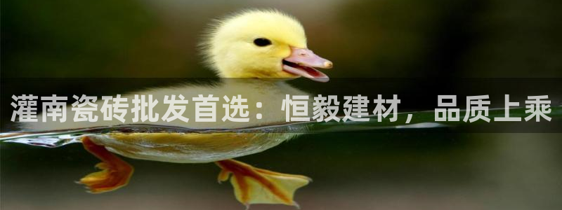 杏鑫娱乐平台登录注册网站