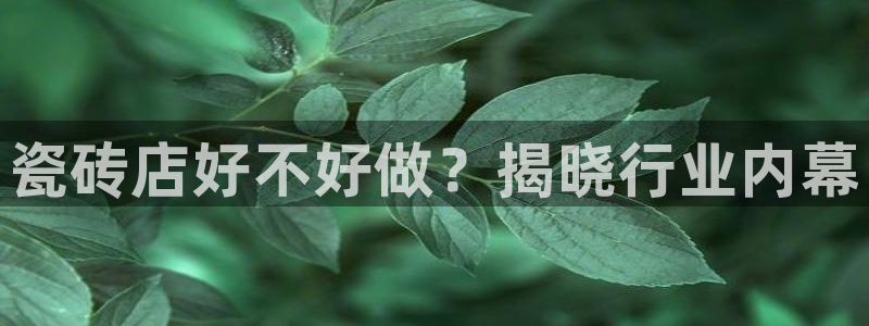 杏鑫平台在线注册流程