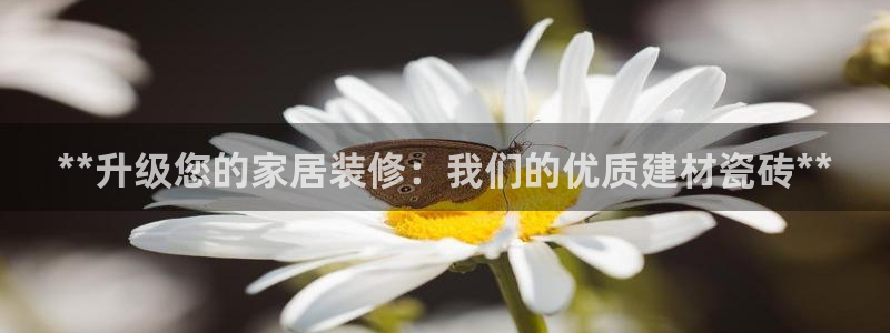 杏鑫平台测速