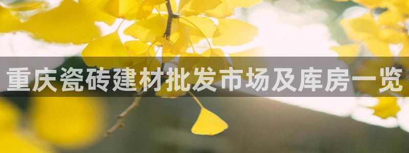 杏鑫3主管