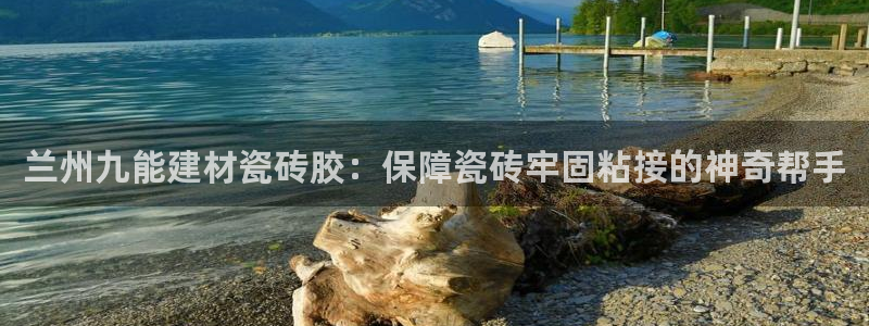杏鑫平台登录地址在哪