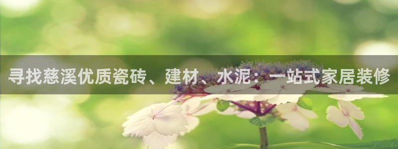 杏鑫平台招商怎么样
