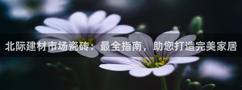 杏鑫平台注册地址