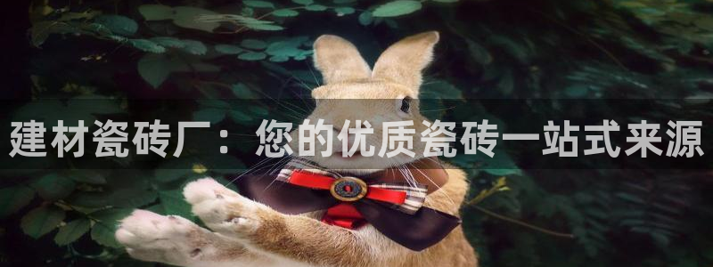 杏鑫官网