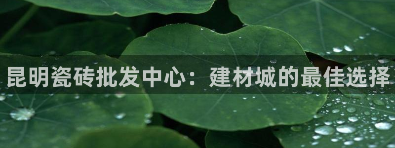 杏鑫娱乐是合法的吗是真的吗