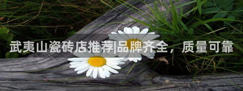 杏鑫官网注册账号是什么