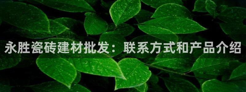 杏鑫官网注册账号是什么意思