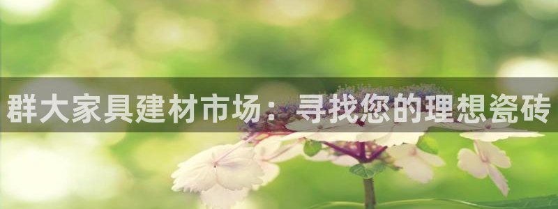 杏鑫平台代理注册