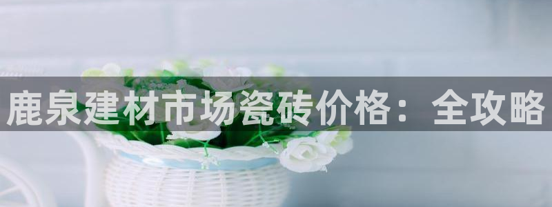 杏鑫平台招商