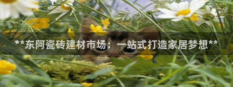杏鑫平台平台娱乐怎么样