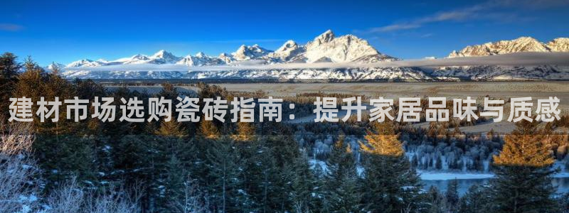 杏鑫平台登录地址在哪