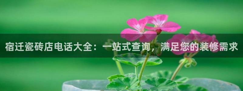 杏鑫平台登录地址是什么