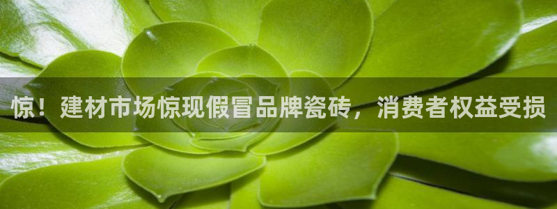杏鑫平台怎么样黑钱吗是真的吗还是假的