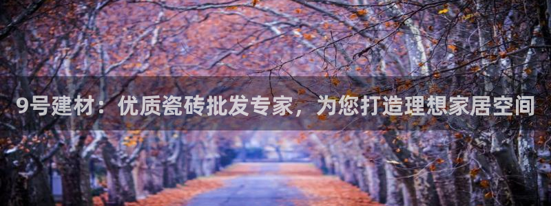 杏鑫官网注册账号是什么意思
