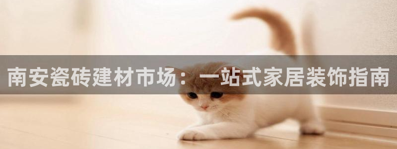 杏鑫娱乐开发团队