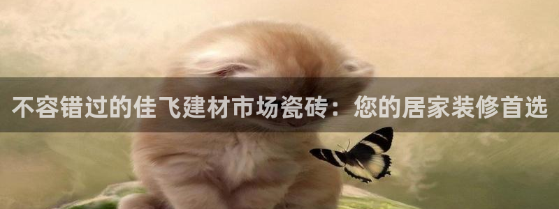 杏鑫平台代理注册多少钱一个