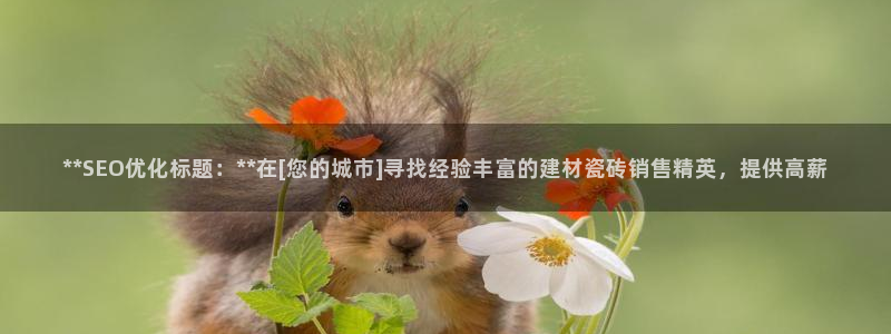 杏鑫招商总代