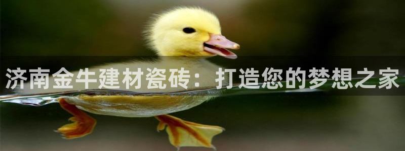 杏鑫官方app代理