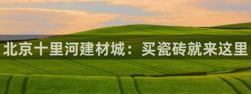 杏鑫平台注册网址