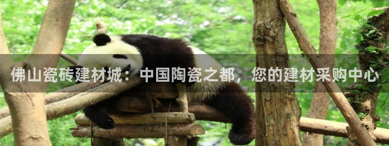 杏鑫平台登录