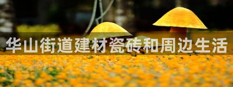 杏鑫注册登录地址