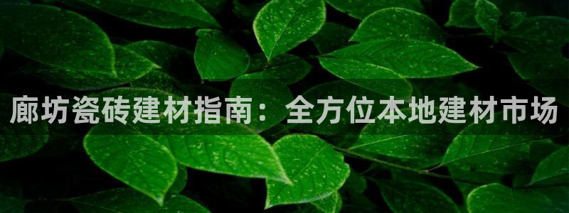 杏鑫平台在线注册怎么注册
