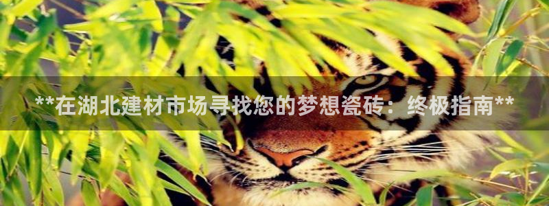 杏鑫平台招商电话号码查询