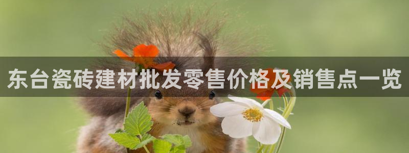 杏鑫平台是黑平台吗知乎