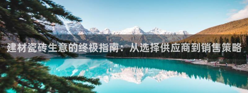 杏鑫官方平台怎么样啊知乎