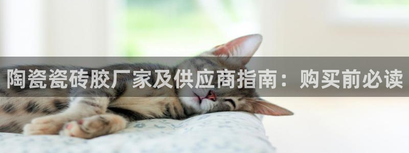 杏鑫平台测速