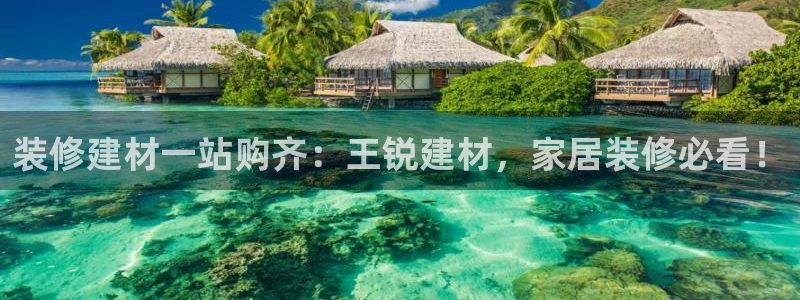杏鑫平台代理怎么做