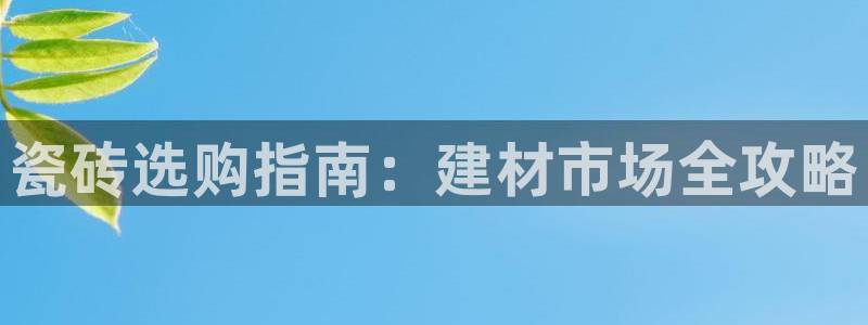 杏鑫平台代理怎么做的