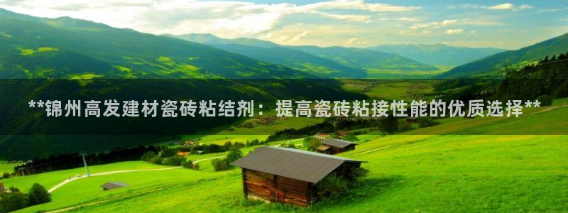 杏鑫平台平台