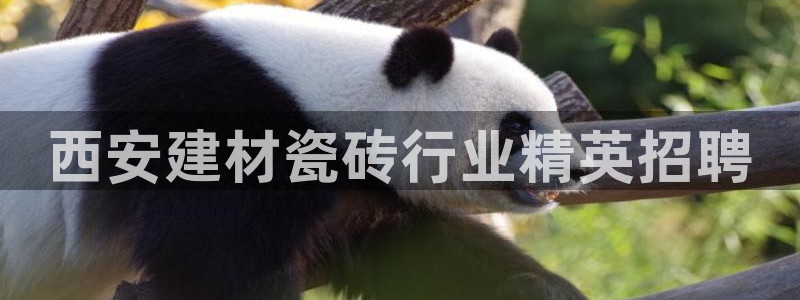 杏鑫平台登陆