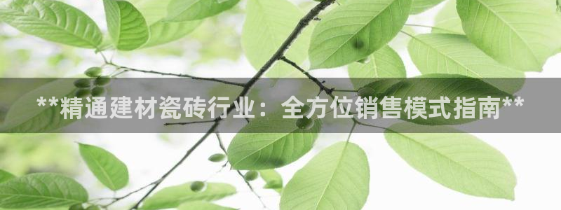 杏鑫官网