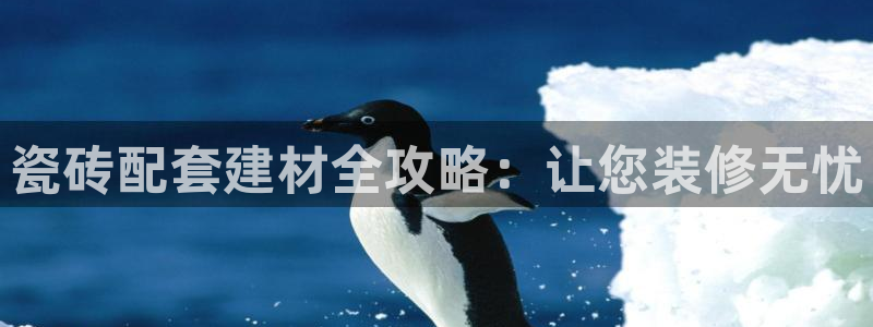 杏鑫平台代理怎么样可靠吗