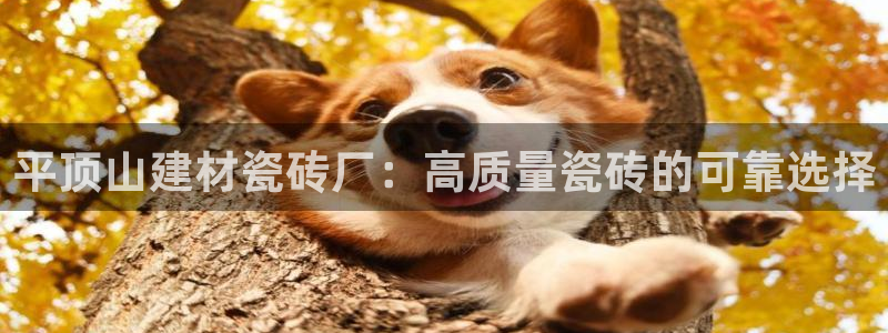 杏鑫官网注册账号是什么意思