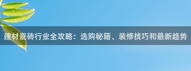 杏鑫平台代理注册流程