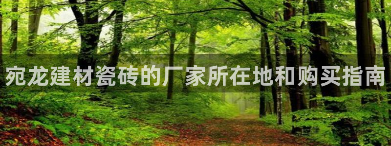杏鑫平台待遇