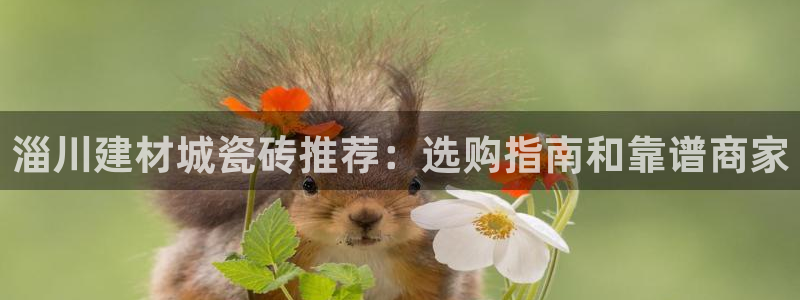 杏鑫娱乐是真的吗还是假的